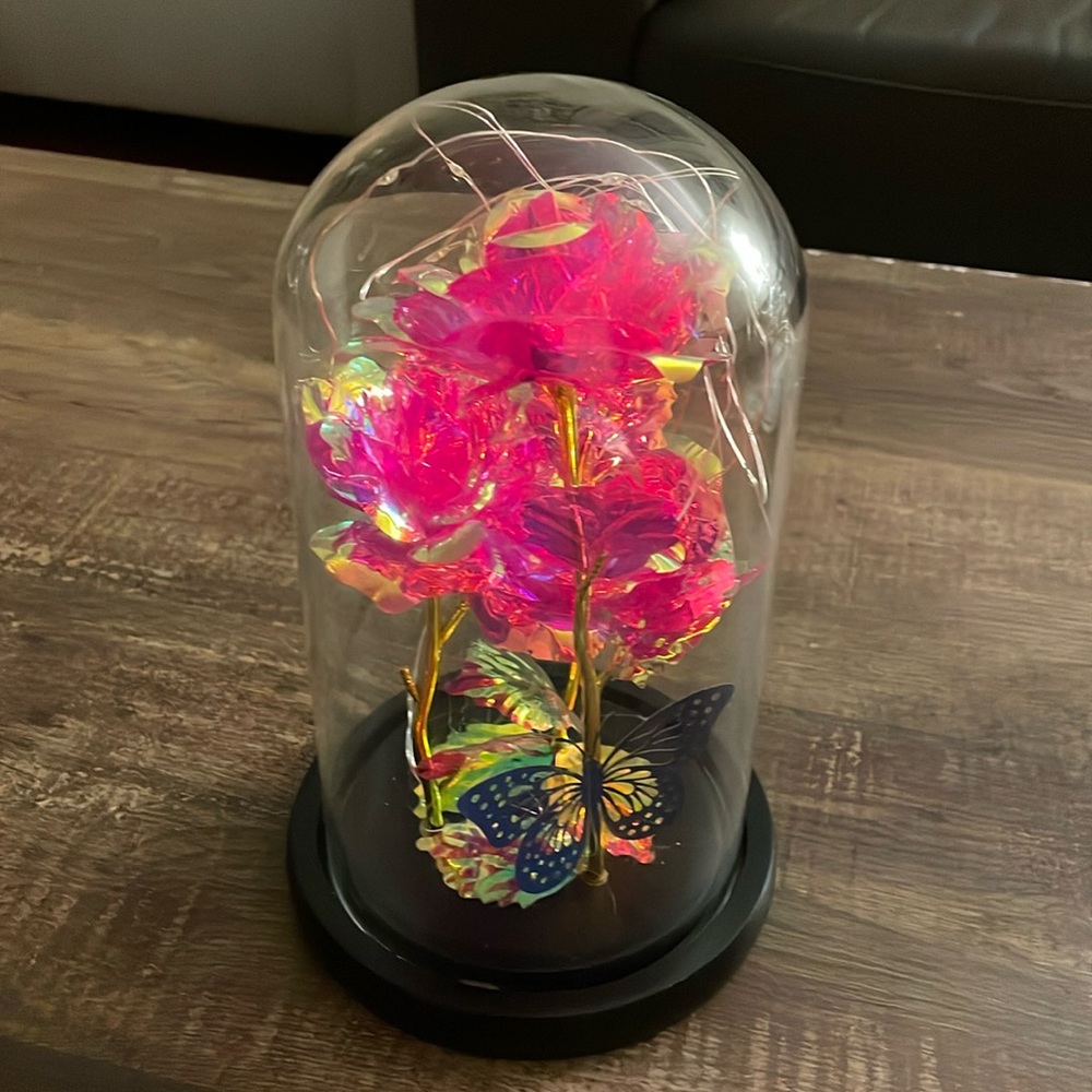 Red-Pink Light Up Roses